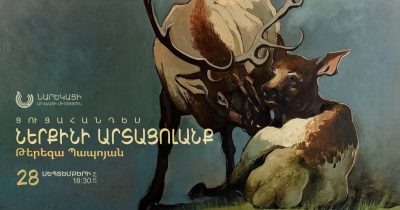 Solo Exhibition at NAI