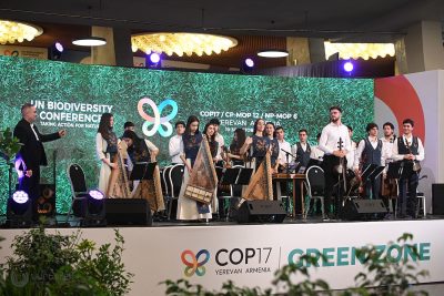 Nova Ensemble Performance at COP17